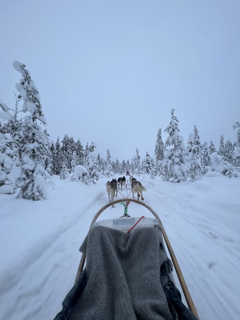 Granja de huskies en Rovaniemi: Descubre la experiencia única de trineo y aventura ártica